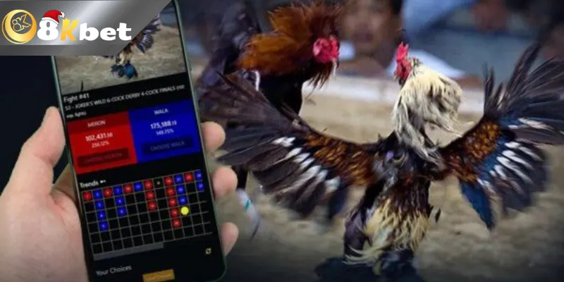 Vì sao da ga Thomo tại 8KBET ngày càng được yêu thích?