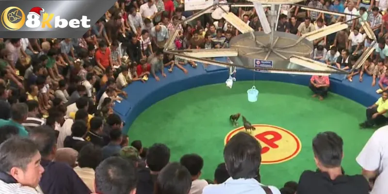 8KBET Bí Quyết Đá Gà Trực Tiếp Hôm Nay Sao Cho Ngầu Hướng dẫn tham gia đá gà trực tiếp hôm nay tại nhà cái uy tín 8kbet