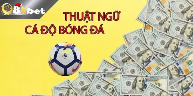 Tổng hợp các thuật ngữ cá độ bóng đá ở kèo châu Á